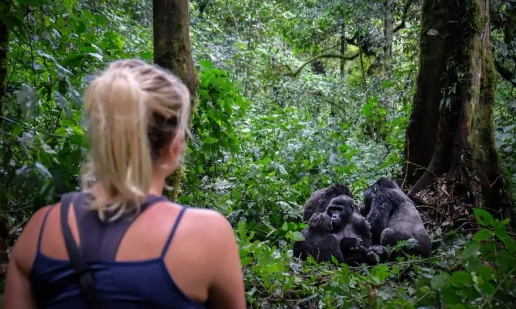 How-difficult-is-gorilla-trekking-750x450