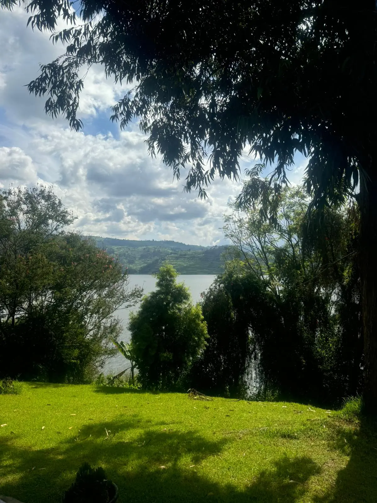 IMG-20250702-WA0002