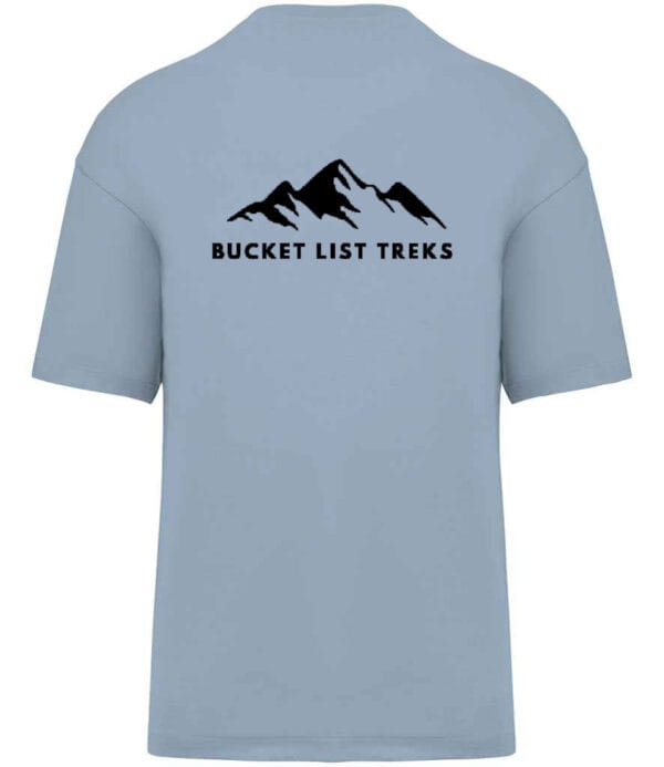 220gms Organic Cotton versize T-shirt