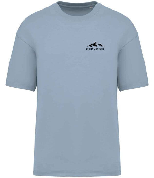 220gms Organic Cotton versize T-shirt - Image 4